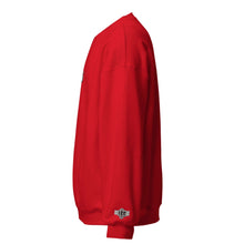 Load image into Gallery viewer, shirt  long sleeve  collegiate sweatshirts $1.78 9  900 embroidered hoodies $2.94 8  100 embroidery hoodies $2.94 8  100 grey hoodie champion $0.6champions crewneck, champion zip up hoodie, university sweatshirt, university sweatshirts, essentials hoodie sizing, essentials size chart, embroidered hoodies mens, embroidered hoodie mens, embroidered sweatshirts mens, embroidered sweatshirts men&#39;s, men&#39;s embroidered sweatshirt, men&#39;s embroidered sweatshirts, mens embroidered sweatshirts
